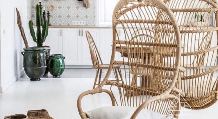swing-natural-rattan-chair-with-cushion-and-rope-for-indoor-room