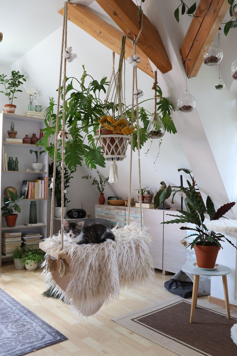 DIY-indoor-swing-hanging-on-loft-beems-and-a-little-happy-cat-fagusurban-submission