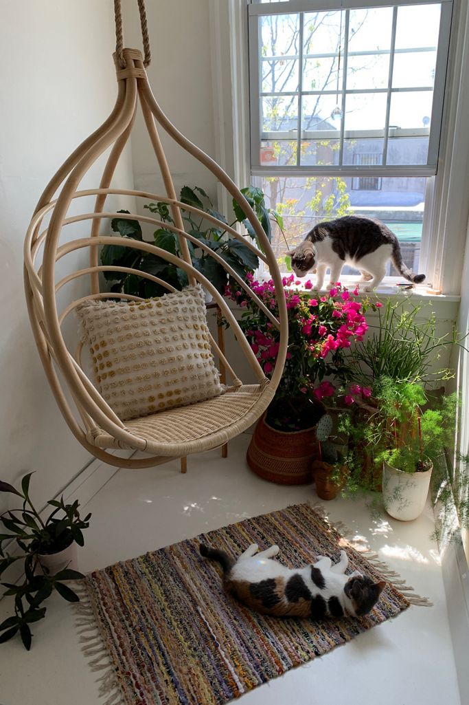 basket-hand-woven-rattan-hanging-chair-livin-room-flowers-and-cats